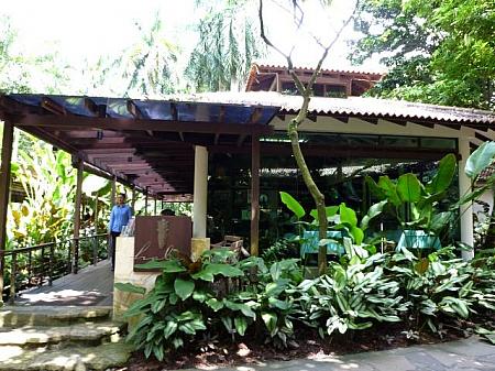 ボタニック・ガーデンの歩き方 植物園 ラン 蘭 オーキッド熱帯植物