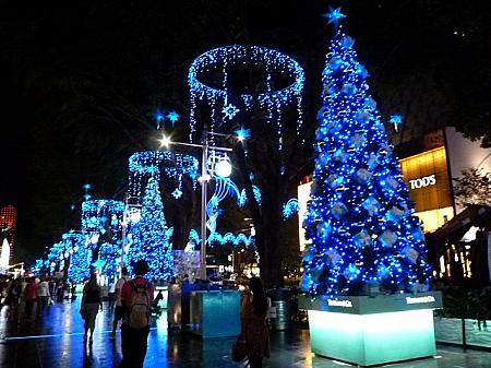 高島屋前の歩道のクリスマスツリーにも明かりが点ります。