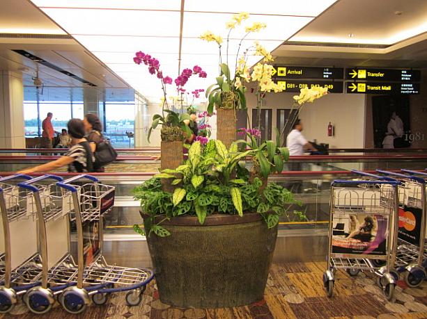 広い空間と、お花でしょうか？