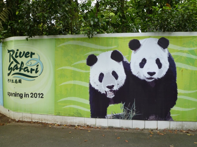 最近のシンガポール動物園 | シンガポールナビ