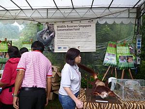 シンガポール自然保護基金のテント