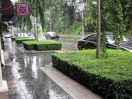 じめじめとした雨の日が多い雨季