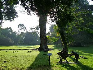 朝日に照らされる園内の彫像