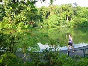 池の畔でジョギングに励む人