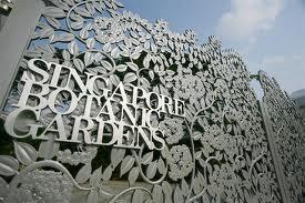 シンガポールを代表する植物園といえばここ！