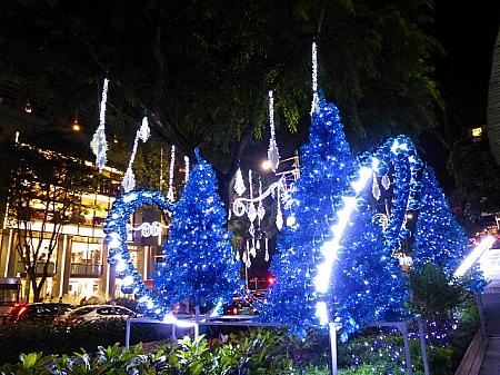 夜には電飾でツリーが一斉に青く輝きます。
