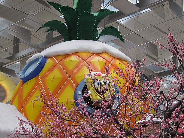 1月31日の旧正月に向けてお正月の飾り付けが始まっています♪