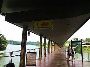 アマゾン川エリアへ渡る橋