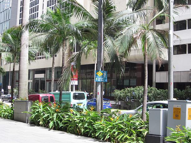 オフィス街も、緑が多いです。木々はシンガポールらしさが出ていますね～。