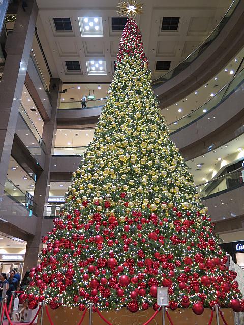 シンガポール各地からメリー クリスマス シンガポールナビ