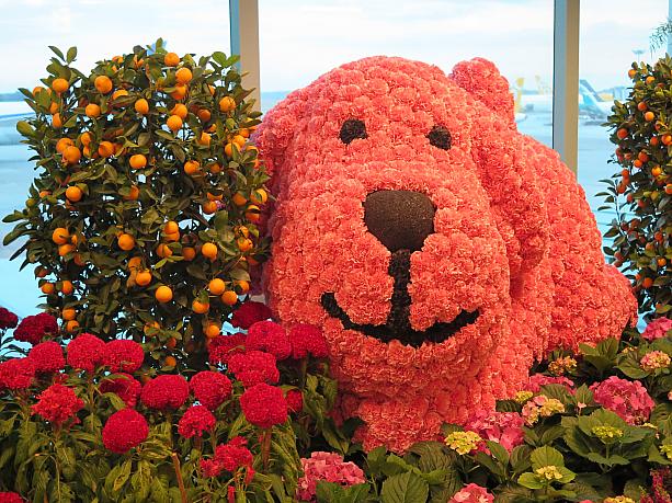 週末のチャンギ空港。戌年のカワイイ飾りがありました！花で作られた犬。カワイイです♫