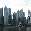 こうしたビル群のイメージが大きいシンガポールですが、緑豊かなところもたくさん。2022年も面白いスポットをご紹介できるように頑張ります！