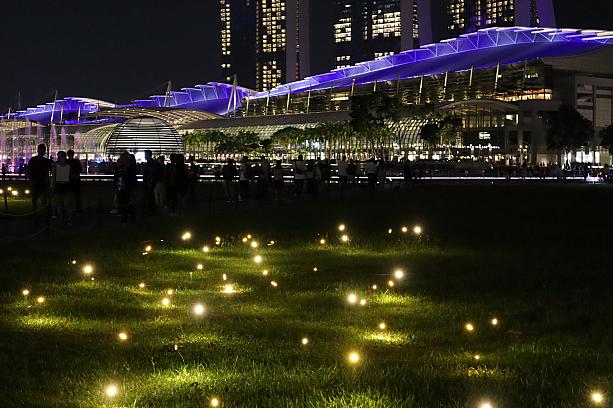 マリーナのイベント「i Light Singapore」に行ってきました！こちらは「 Firefly Field」の展示。ほんとに蛍みたいに見えます。