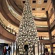 もうすぐ年末。という事で、クリスマスツリーがお目見えです！新型コロナの影響でしばしお休みしていた巨大ツリーのお目見え。オーチャードの高島屋です！