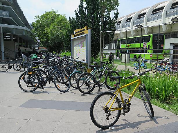 駅前に並ぶ自転車の数々。