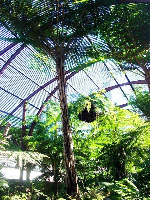 ロイヤル ボタニック ガーデン 王立植物園 シドニーナビ