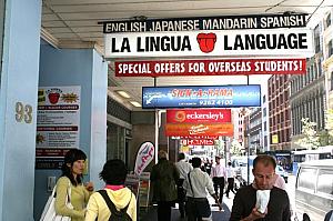 シドニーで英語の短期レッスン～「 La Lingua 」編 英語学校