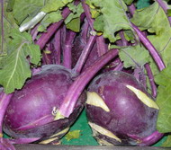 カブの仲間のようにみえますが、キャベツの仲間のコールラビ (Kohl Rabi)。 -−日本ではまだちょっと珍しいシドニーの野菜をご紹介！