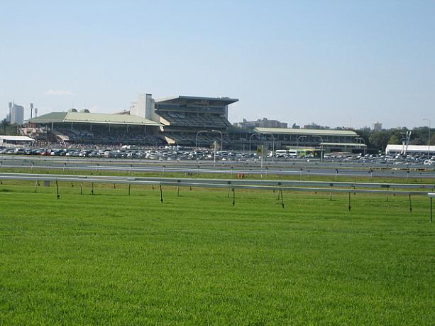 ２．やっぱりレースがあるみたいです。
