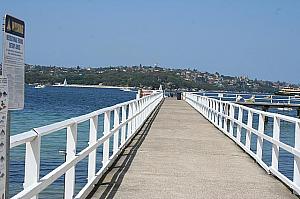 桟橋にはこの辺りの「海中住民リスト」が表示されています。