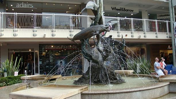マンリー（155、156、159、169番で約10分、ワリンガ・モール前下車）からバスが出ているので、海に入れない雨の日のお出かけリストに加えてみては如何でしょう？