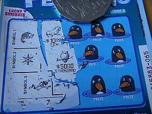 お次はフクロウ。これまたハズレ。おっと賞金5000ドルだ！ちょっと心が揺れてきました…