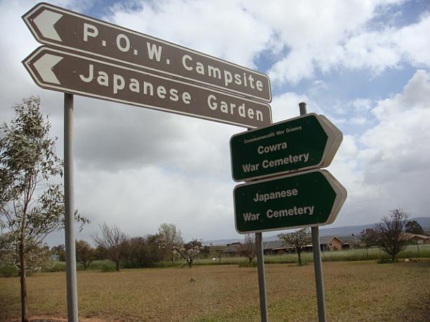 カウラへお花見に行ってきました！ 花見 日本庭園 日本兵捕虜 日本人墓地 カウラ桜