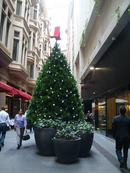 「ザ・真夏のクリスマス」12月のシドニー クリスマスシティ