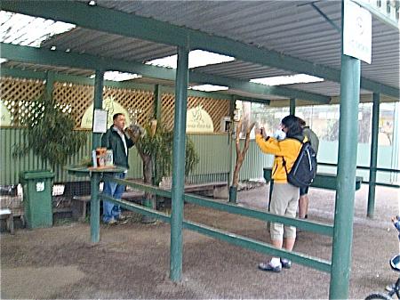 フェザーデール・ワイルドライフ・パークに行ってきました！－前編 動物園 コアラ ワラビーワイルドライフ