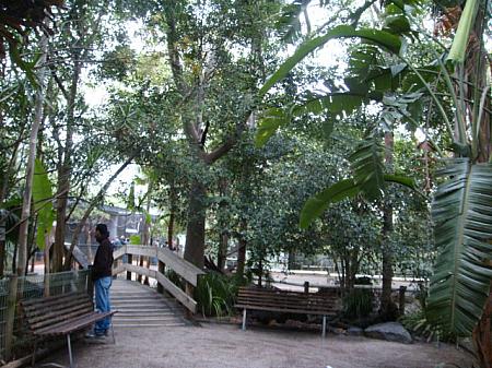 フェザーデール・ワイルドライフ・パークに行ってきました！－前編 動物園 コアラ ワラビーワイルドライフ