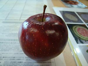 さて、スタート前のリンゴ。基本的に果物は熟れる前の方が固くて彫りやすいそうです。