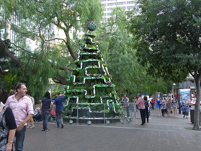 エコなクリスマスツリー | シドニーナビ