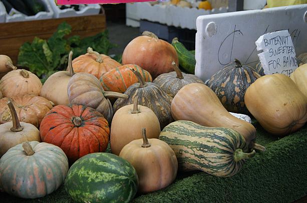 今が旬の野菜といえばかぼちゃ!　いろいろな種類がありますね～