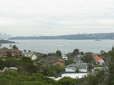 ワトソンズ･ベイとシドニー湾の眺め。ハーバーブリッジやシティのビルが見えます
