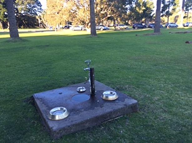 この日差しでは人間だけじゃなくてワンコも水分補給必至です。公園の水道エリアにはちゃんと数種類のボウルが用意されていました。