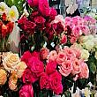 ナビは月に数回自宅用に単色のバラの花をお買い上げするのがささやかな贅沢。