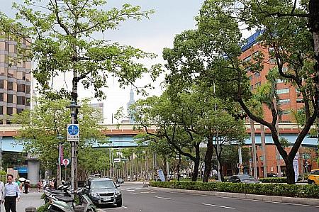 爽やかな木々があふれる仁愛路。台北101も見えます