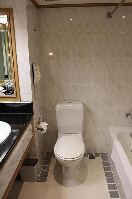 トイレは2014年にウォシュレットタイプに切り替え予定