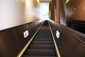 まずは長～いエスカレーターに乗って4階まで向かいます。上から下に順に下がってみてくるという館内導線。