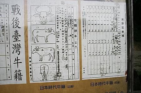 牛もいますし、日本統治時代に牛には戸籍謄本があったんですね。貴重な資料です。