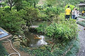 日本式庭園