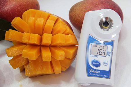 糖度の高いマンゴーを選りすぐっています！