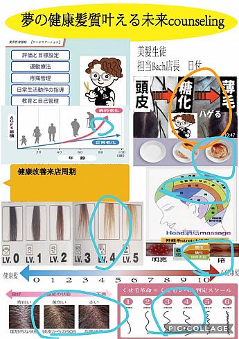 DBA＞カルテのようなカウンセリングシートもシェアしてくれますよ<br>画像提供：DBA Japan MiRAi