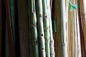 人面竹という珍しい竹や