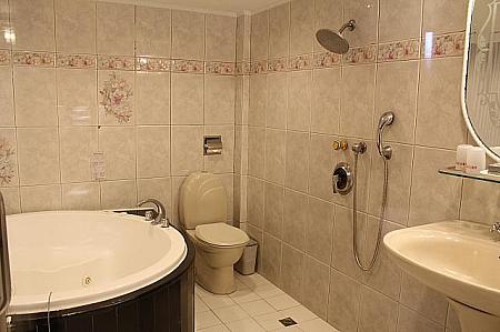 浴室はこんな感じ。トイレが濡れちゃうけど、広いバスタブに浸かれるなら我慢できちゃう（？）