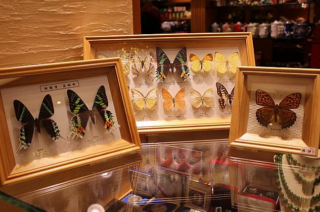蝶々王国台湾！蝶々の標本。左から750元、1200元、500元