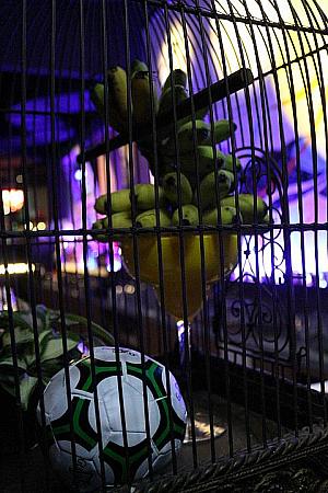 台湾のミニバナナ（芭蕉）を鳥かごに入れてインテリアにしたりと遊び心満点