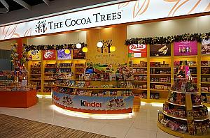 高雄発祥の美味しいミルクティー「樺達奶茶」、量売りフローズンヨーグルト「TF Yogurt」、世界のチョコレートが揃う「THE COCOA TREES」。