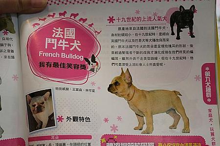 犬百科を借り犬種を探します。これで犬種の中国語名を知ることができます