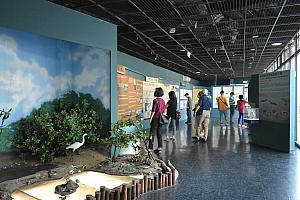 黑面琵鷺生態展示館
